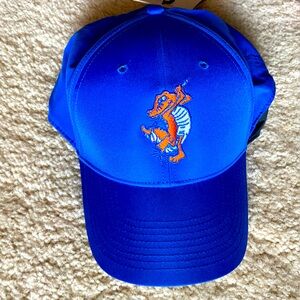 Florida Gator Nike Dir Fit Hat-Brand New
